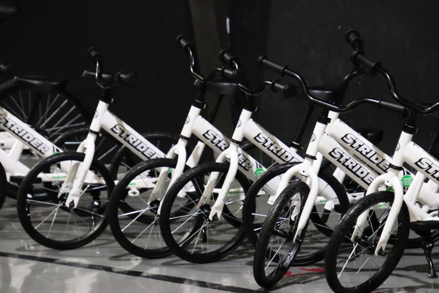 Bike Reveal
